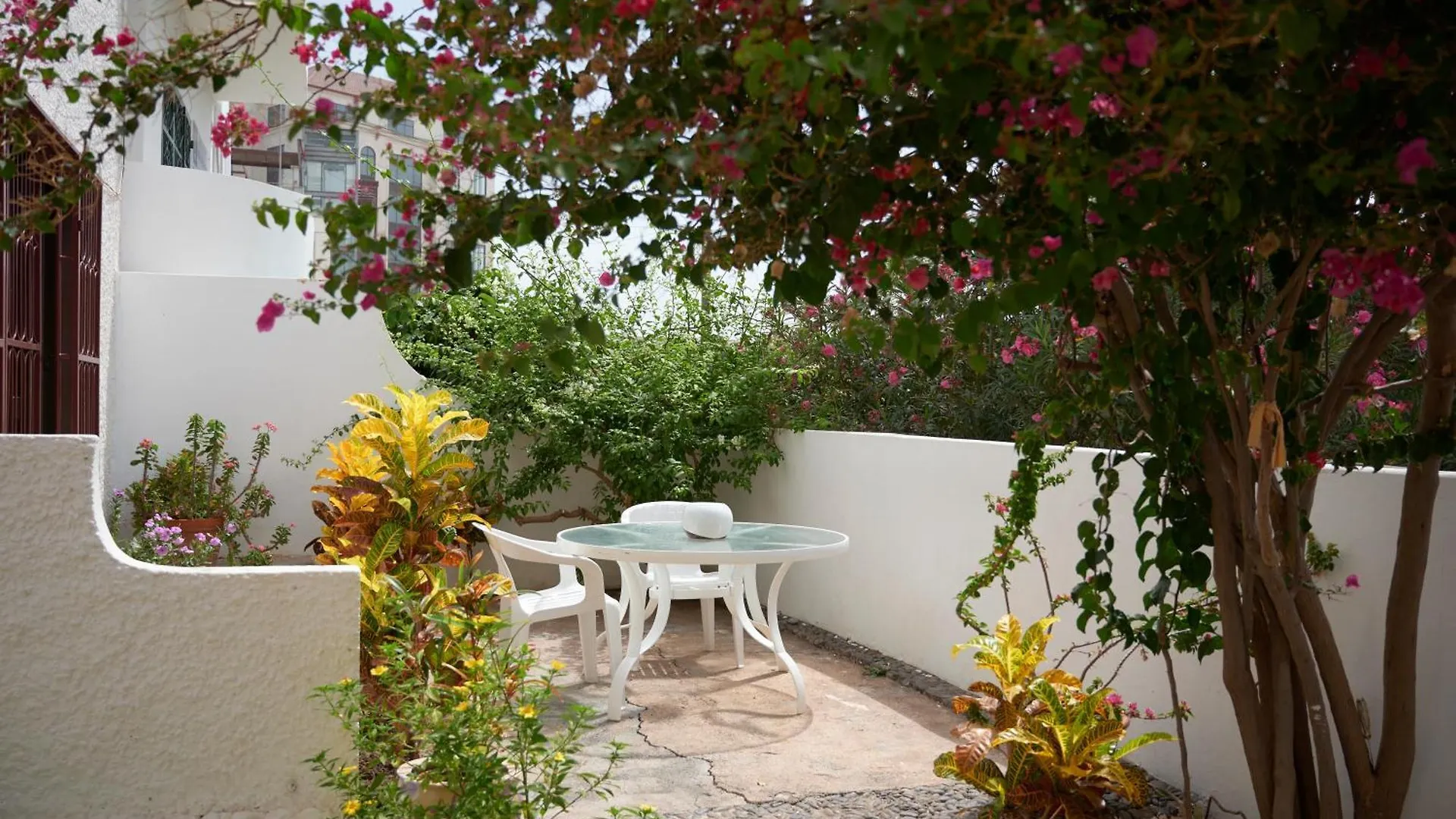 Casa Estrela - Sea & Art Guesthouse Praia Nocleg ze śniadaniem