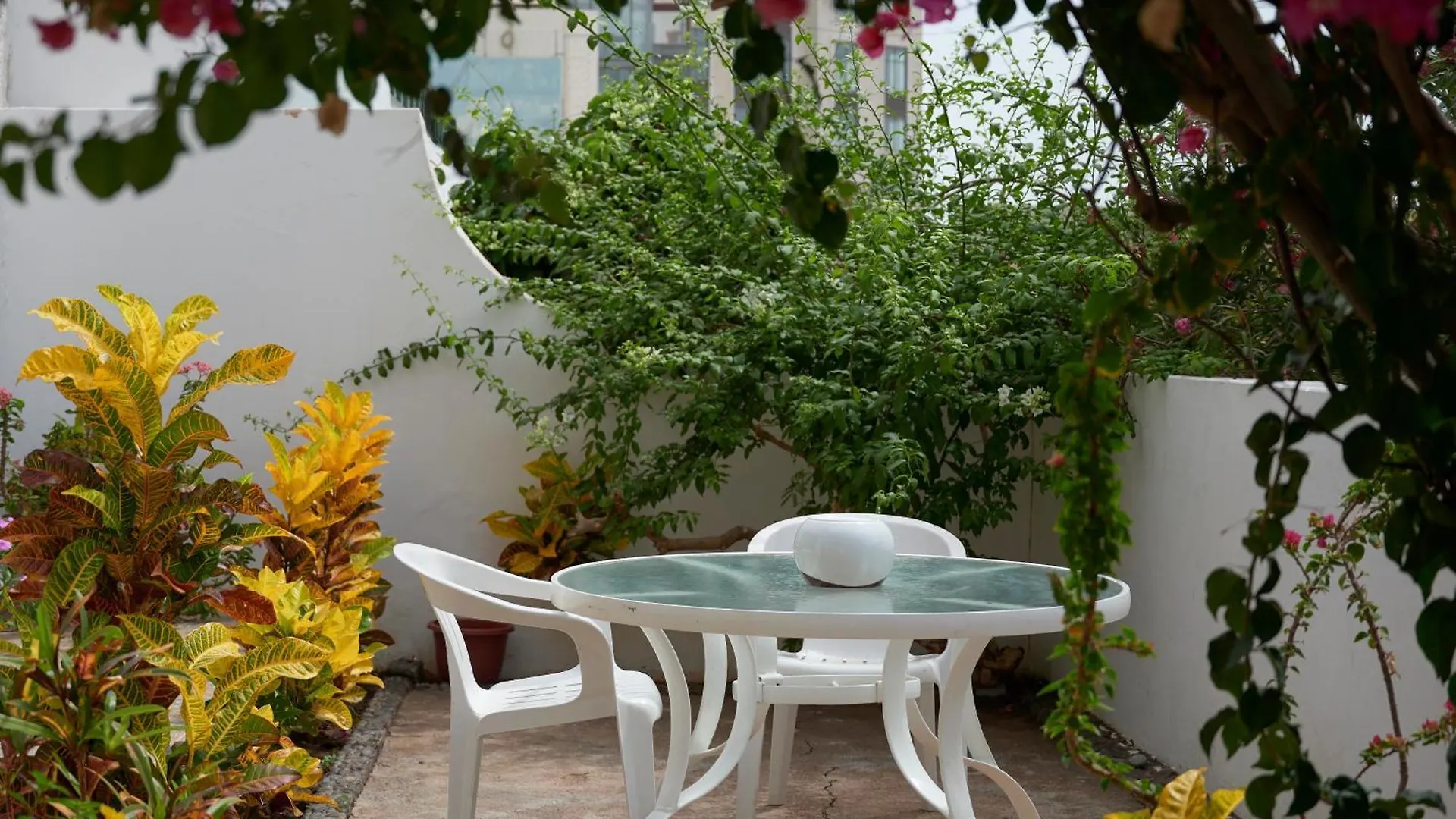 Casa Estrela - Sea & Art Guesthouse Praia